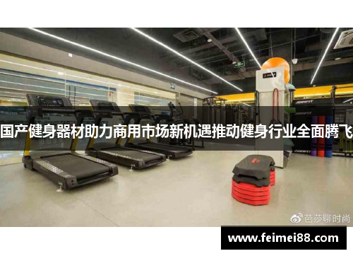 国产健身器材助力商用市场新机遇推动健身行业全面腾飞