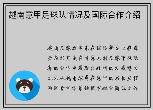 越南意甲足球队情况及国际合作介绍